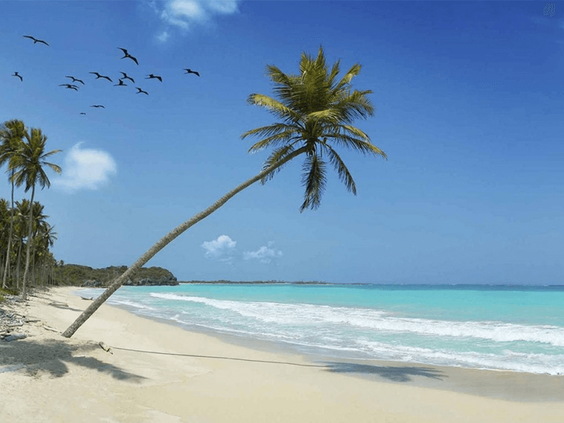 Seven Mile Beach